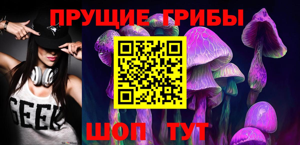 Донецк  Псилоцибиновые грибы Cubensis  Вход с VPN 