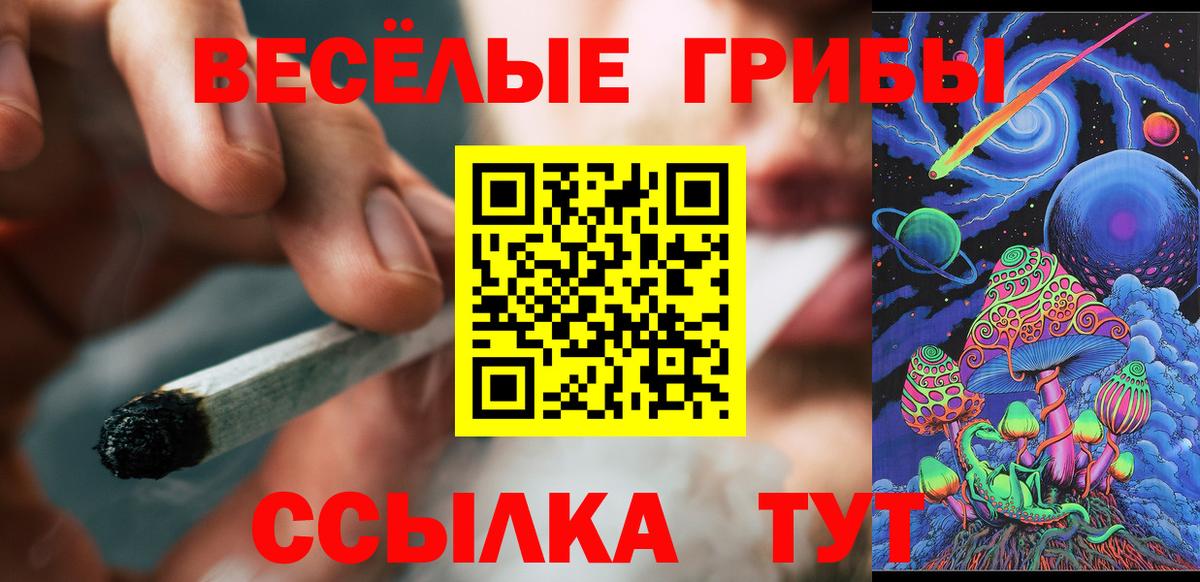 Галлюциногенные грибы Psilocybine cubensis Донецк
